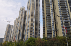  江西九江 君悅麗湖小區(qū)