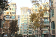  廣西靖西 云天華府