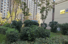  河南鄭州 北院軍干六所