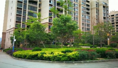 廣東省茂名市高州市金沙灣小區(qū)