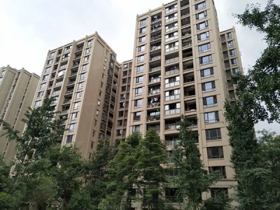 陜西洛南洛鎮(zhèn)移民搬遷項目（非可視）