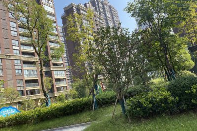 青海西寧金葉陽光小區(qū) （888可視7寸260戶）